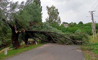 Ураганний вітер паралізував рух у Верем&rsquo;ї &mdash; ситуацію швидко владнали