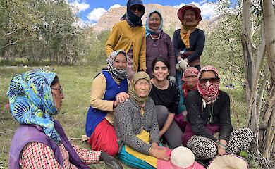 Забутий чорний горох Гімалаїв виявився ціннішим за комерційні культури