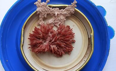 CYSER І MELOMEL ЗІ СТАРОГО СОКУ. СТАРТ ЕКСПЕРИМЕНТУ