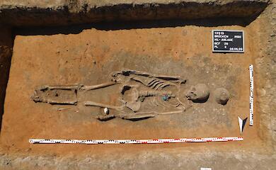 Новое ДНК-исследование раскрыло, как миграция славян изменила карту Европы