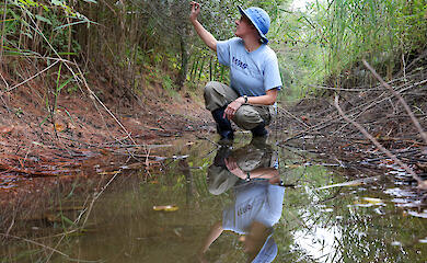 Дослідження показало: канави можуть зміцнювати громади та зберігати природу