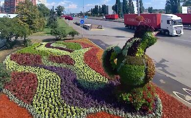 В Киеве создали цветочную композицию с "петушком из Бородянки"