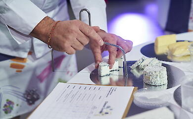 Козий сыр из Обуховщины получил Гран-при ProCheese Awards 2025