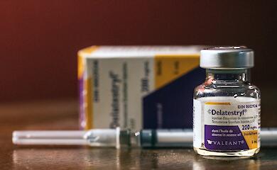 Исследование показало, что тестостерон не влияет на экономические решения мужчин