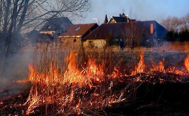​​МІЦНИЙ ОБУХІВСЬКИЙ ГОСПОДАРНИК: осінній портрет