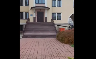 В Обухове волонтеры спасли кота, которого заперли на чердаке монастыря
