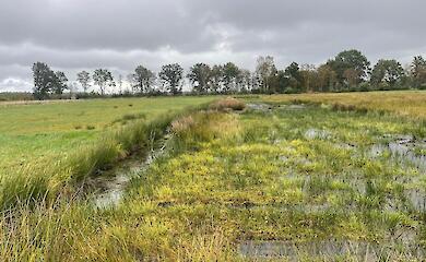 Багатофункціональні ландшафти допоможуть подолати глобальні кризи