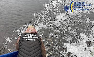 Каневское водохранилище зарыбили более шестью тысячами мальков трех видов рыб