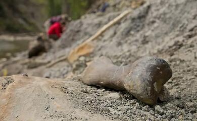 &laquo;КІСТКИ ГІГАНТІВ&raquo;: ЧЕРГОВИЙ МІФ ОБУХІВСЬКОЇ ОЙКУМЕНИ, ШИЗОІСТОРІЯ