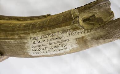 "ТРИПІЛЬСЬКІ МАМОНТИ" В ІСТОРІЇ І ФОЛЬКЛОРІ