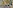 В степной балке найди редкого слизеринца: почему это важно
