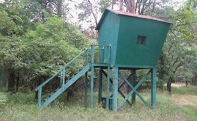 Міндовкілля звинувачують у перетворенні нацпарків на території елітних полювань