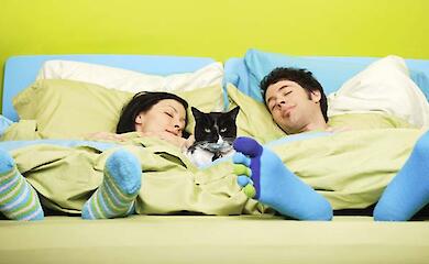 Идеальная спальня: что помогает уснуть и как сохранить здоровый сон