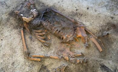 В Норвегии археологи исследуют уникальное женское захоронение эпохи викингов