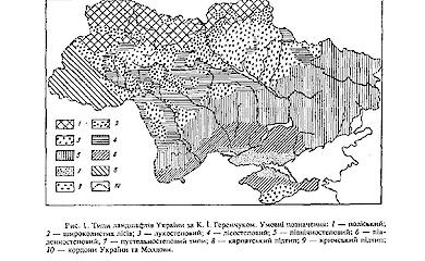 Не знайшли, бо не було. Чи не знайшли, бо не копали?