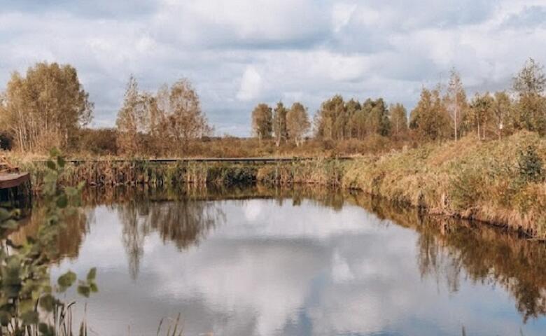 УЛІС — зимова пауза для тих, хто цінує природу і спокій