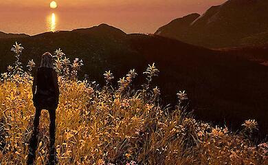 Археологи створили відеогру про кам&rsquo;яний вік за допомогою ШІ та безкоштовних інструментів