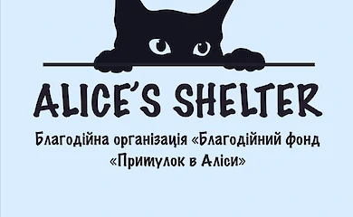 Единственному в Обухове официальному приюту для животных нужна помощь