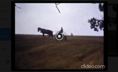 В мережі з'явилося феноменальне відео села Григорівка 1985 року