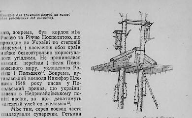 Форми пасічницьких будівель. Версії Скуратівського
