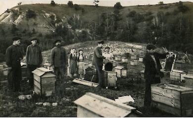 Обухівське пасічництво як частина зникаючого культурного коду