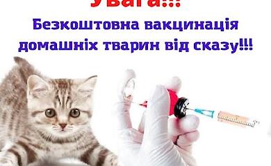 В Богуславе проведут бесплатную вакцинацию собак и котов от бешенства