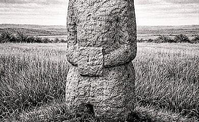 Степ як соціальний конструкт: від неоліту до сьогодення