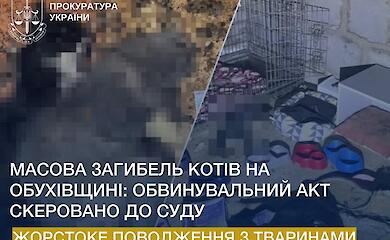 Жительнице Обуховского района грозит до 8 лет заключения за издевательства над животными