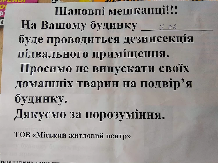 Обухівські комунальники будуватимуть "хатки для котів": обіцяють більше не труїти