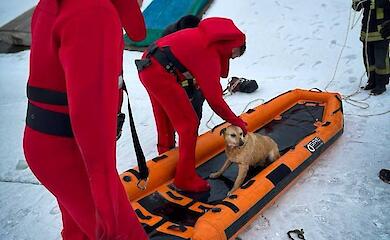 В Украинке спасатели вытащили из Днепра собаку