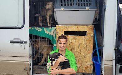 Волонтерка Зоя Шкурко розповіла про війну, допомогу і віру в перемогу