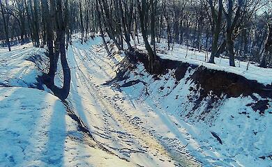 В Голосееве показали древний путь, который называют Танковой дорогой