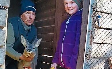 На Обуховщине супруги спасли 60 (!) косуль