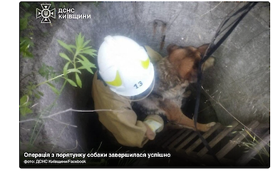 На Обухівщині рятувальники дістали собаку з глибокого колодязя