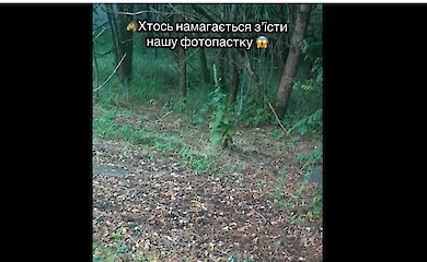 Проверка &laquo;на вкус&raquo;: в Чернобыльской зоне животное пыталось погрызть камеру наблюдения