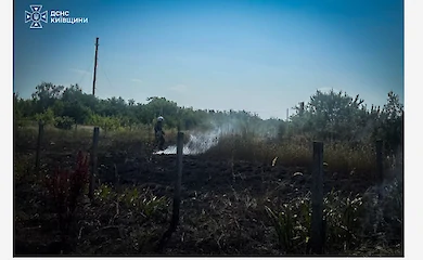 У Ржищеві пів години гасили пожежу: на вулиці Освіти горів трав'яний настил