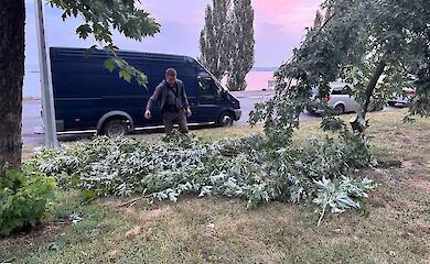 Жителів Української громади закликають бути обережними через повалені дерева