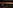 У Голосіївському парку Києва знайшли рідкісний дрібний гриб