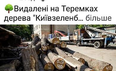 Лавки зі зрубаних дубів: КЕКЦ звинувачує КМДА в цинізмі