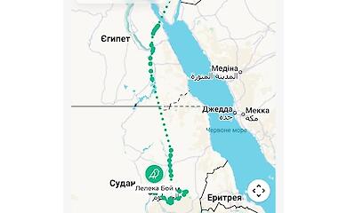 За польотом лелек тепер можна стежити онлайн: ДТЕК запустив інтерактивну карту