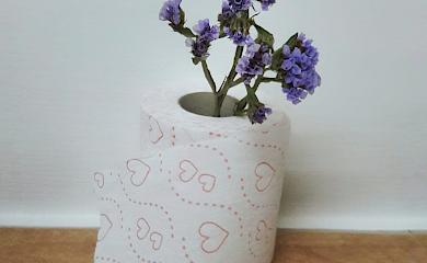 Уровень развития государства познается по его туалетам