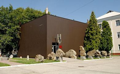 Реалії сучасності та сільські музеї