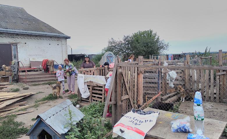 Обухівські активісти продуктивно попрацювали у притулку  для тварин (фото)