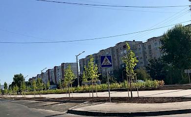 В Обухові з'явилася нова алея: містяни задоволені