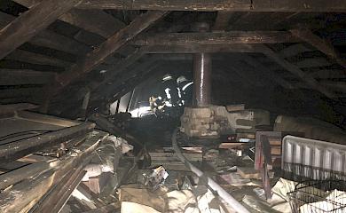 Під час гасіння вогню на Обухівщині пожежники врятували цуценя (фото)