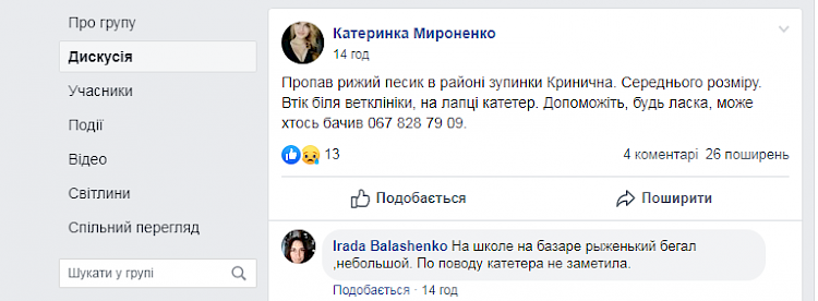 В Обухові пес втік з ветлікарні з катетером у лапі: оголошено розшук