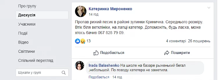 В Обухові пес втік з ветлікарні з катетером у лапі: оголошено розшук