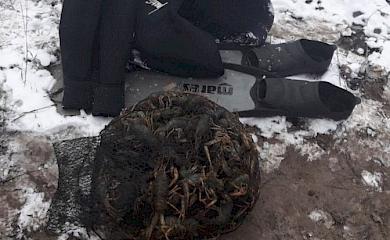 Троє обухівських "іхтіандрів" наловили раків на кримінальну статтю (відео)