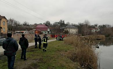 В Обухові рятують лебедів: двоє з них раптово "мігрували"