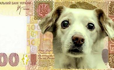 Обухів, комуналка і песики: на скільки платіжок  потягнув би ваш пес